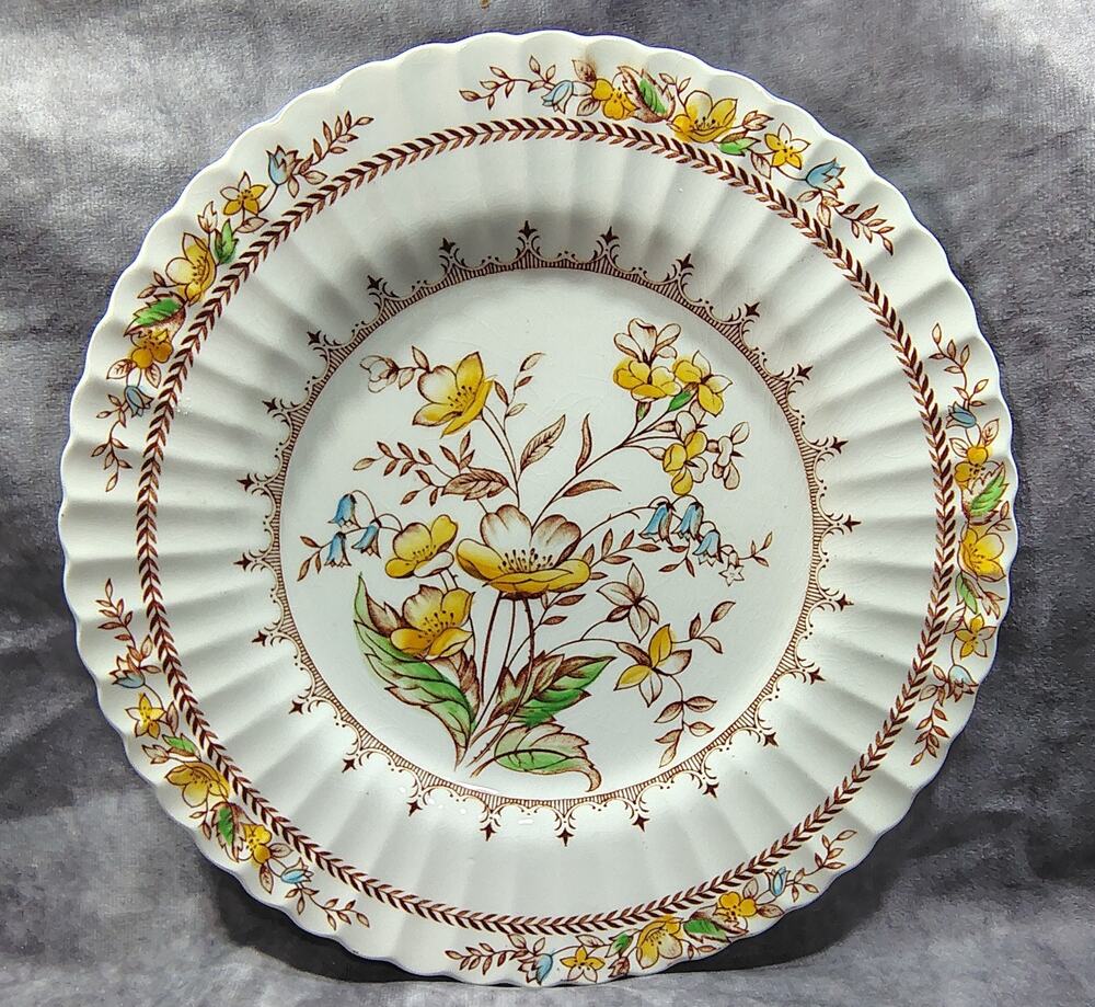 8 Vintage J. G. MEAKIN BREAMAR DINNER PLATES